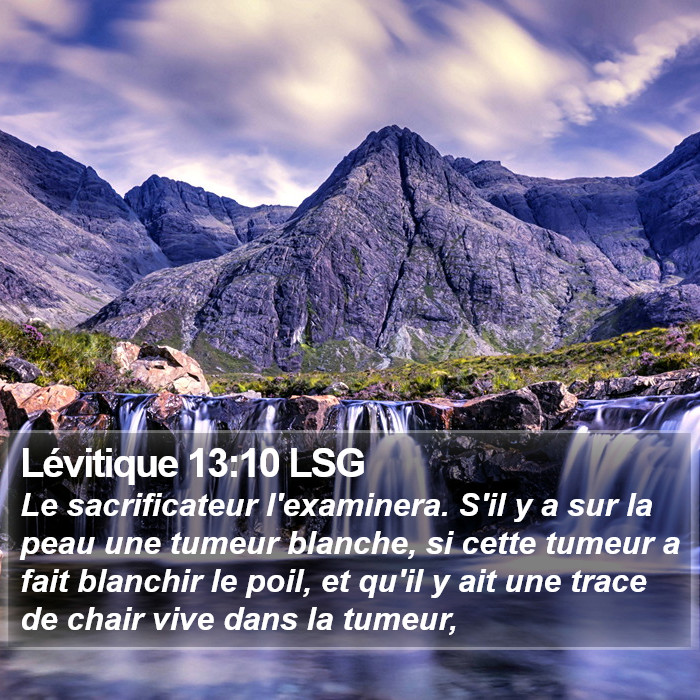 Lévitique 13:10 LSG Bible Study