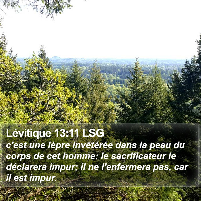 Lévitique 13:11 LSG Bible Study