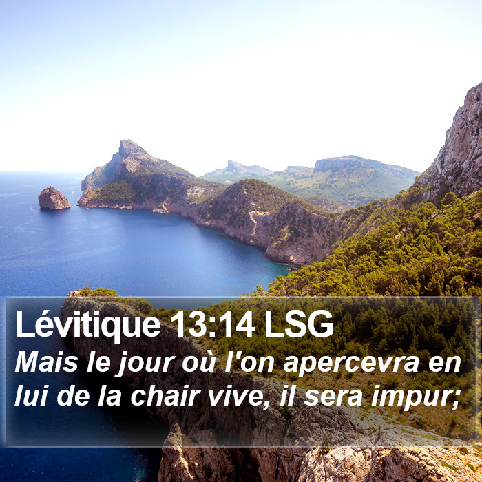 Lévitique 13:14 LSG Bible Study