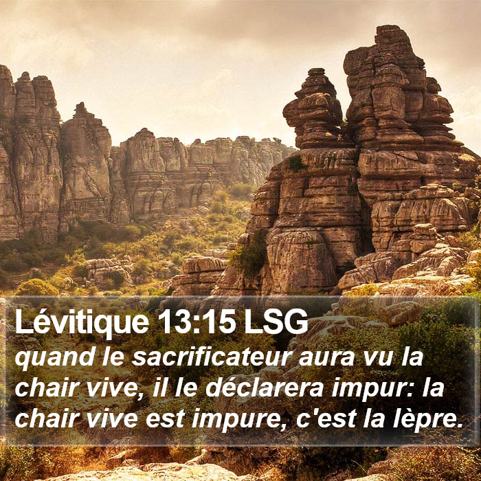 Lévitique 13:15 LSG Bible Study