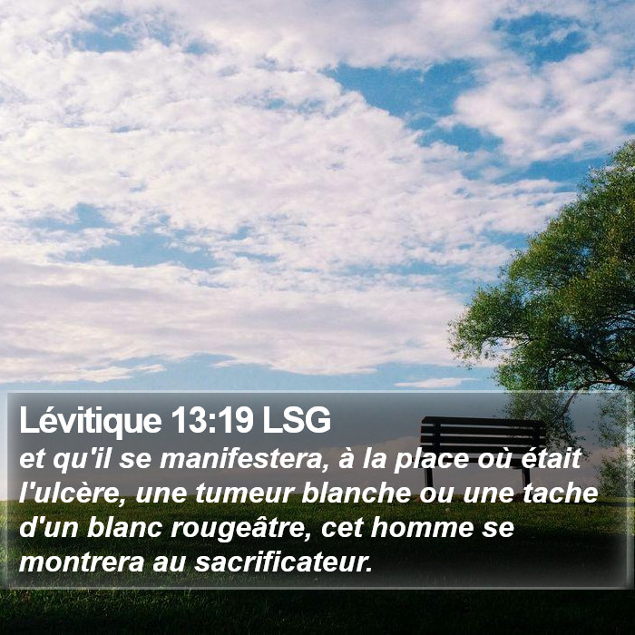 Lévitique 13:19 LSG Bible Study