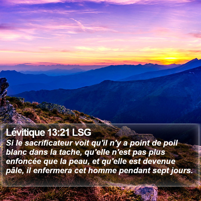 Lévitique 13:21 LSG Bible Study