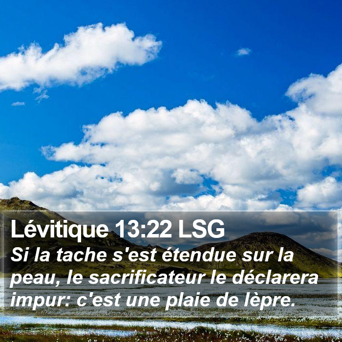 Lévitique 13:22 LSG Bible Study