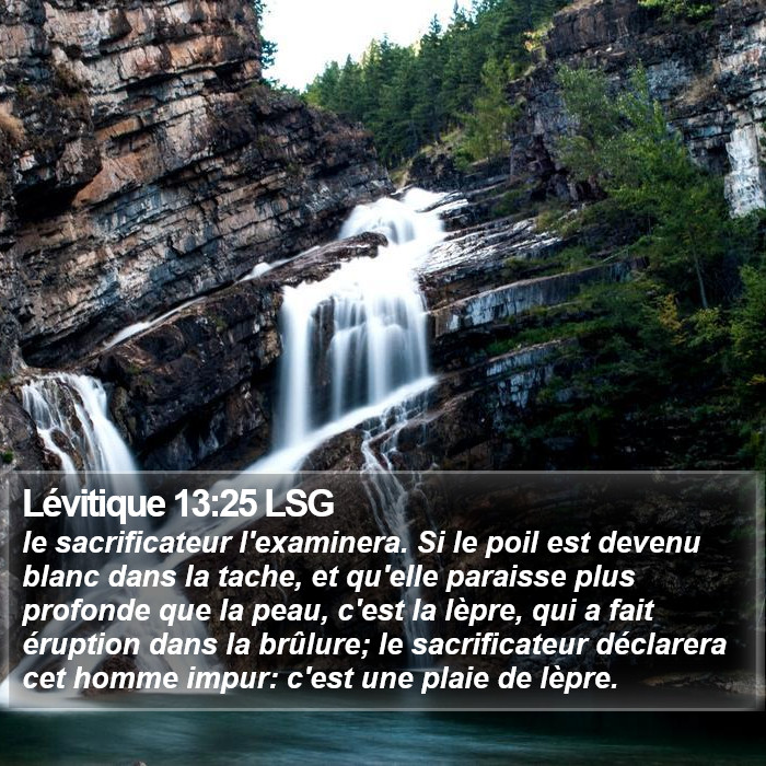 Lévitique 13:25 LSG Bible Study