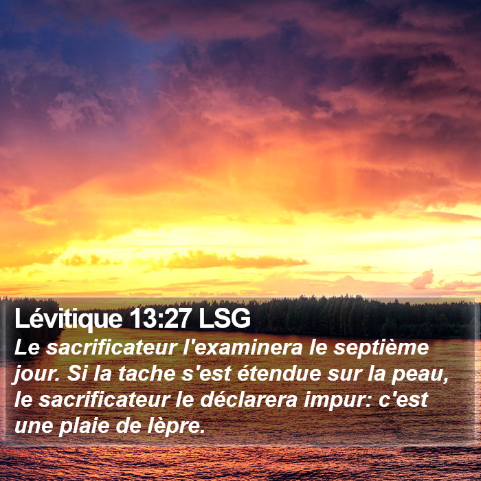 Lévitique 13:27 LSG Bible Study