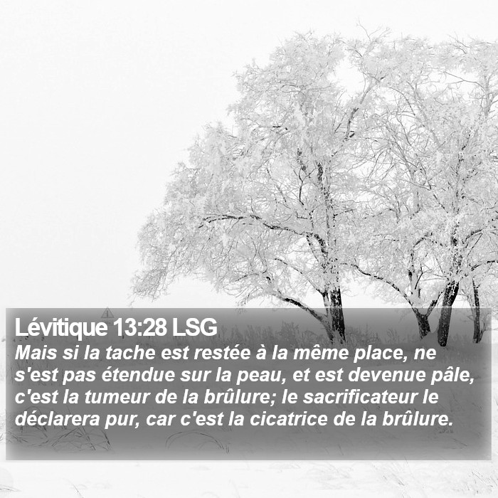 Lévitique 13:28 LSG Bible Study