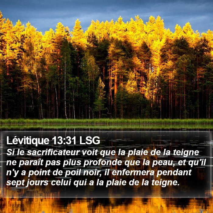 Lévitique 13:31 LSG Bible Study