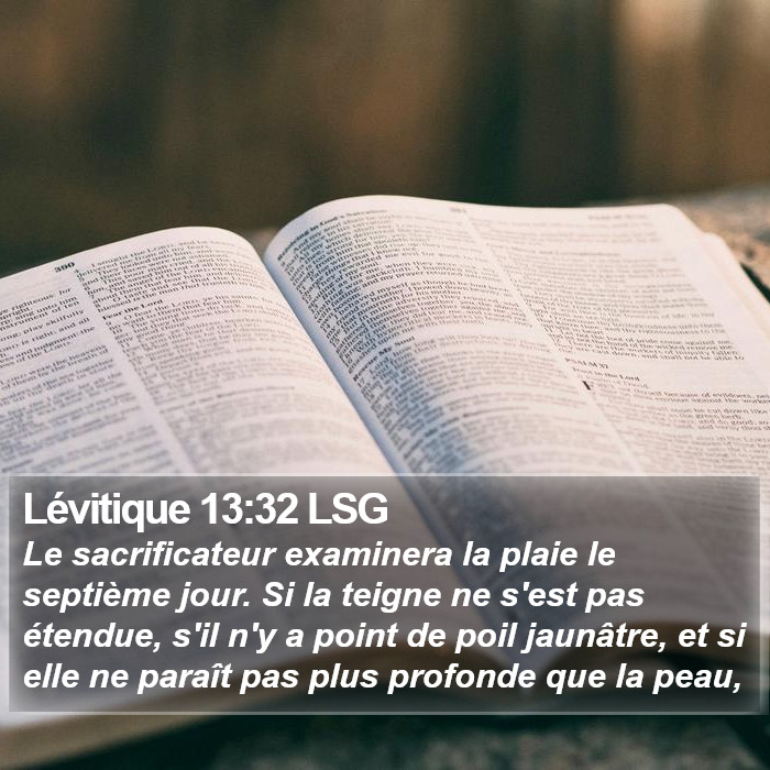 Lévitique 13:32 LSG Bible Study