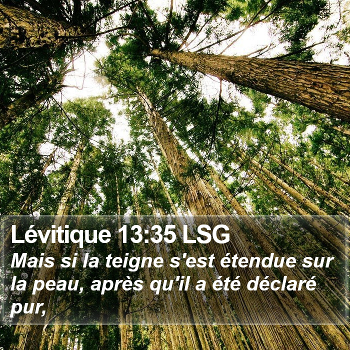 Lévitique 13:35 LSG Bible Study