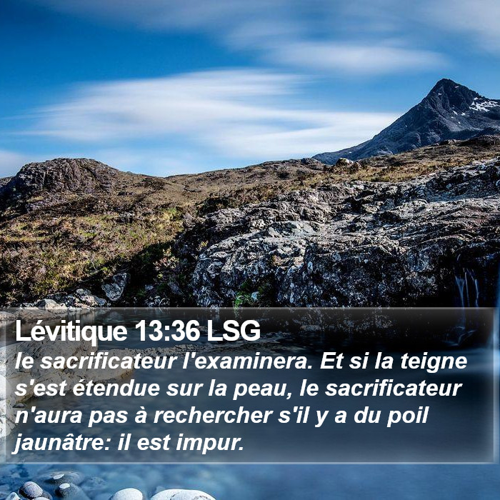 Lévitique 13:36 LSG Bible Study