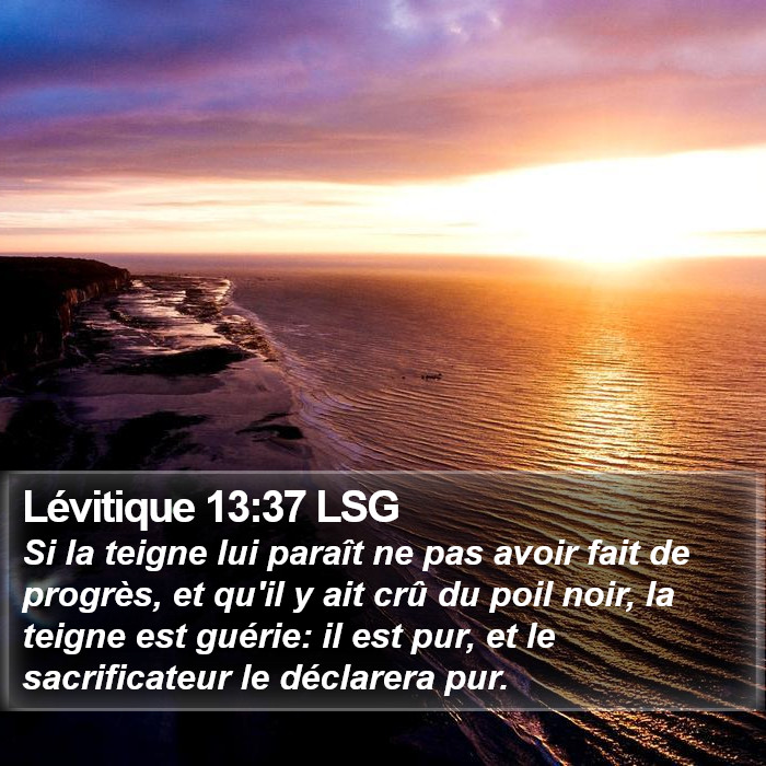Lévitique 13:37 LSG Bible Study