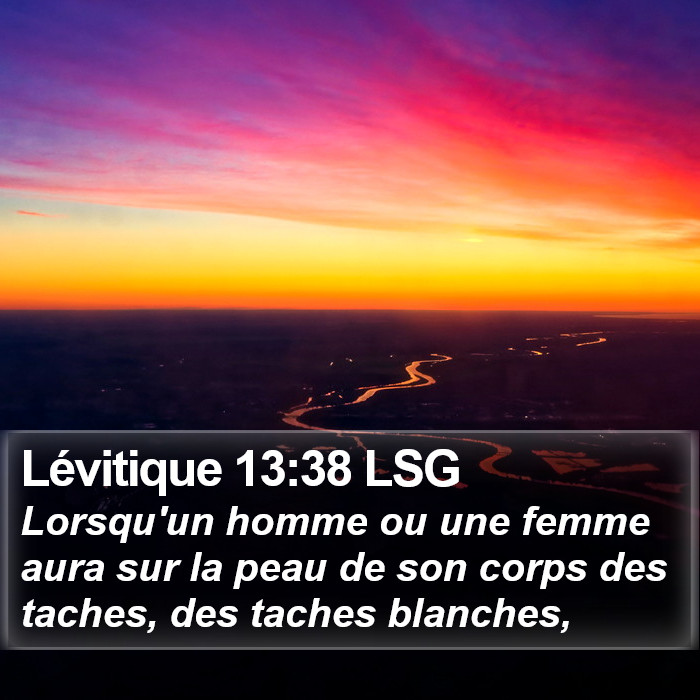 Lévitique 13:38 LSG Bible Study
