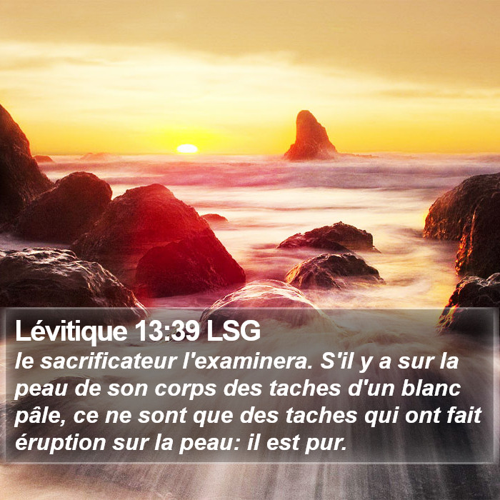 Lévitique 13:39 LSG Bible Study