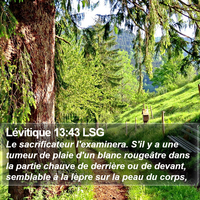Lévitique 13:43 LSG Bible Study