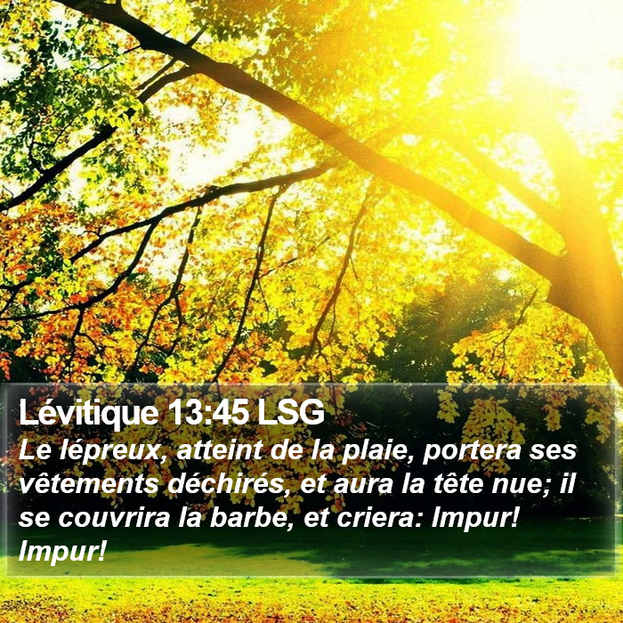 Lévitique 13:45 LSG Bible Study