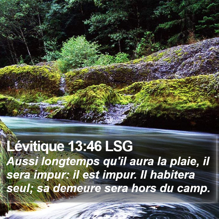 Lévitique 13:46 LSG Bible Study