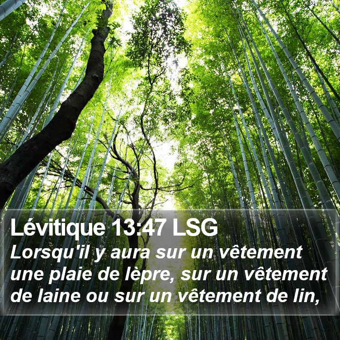 Lévitique 13:47 LSG Bible Study