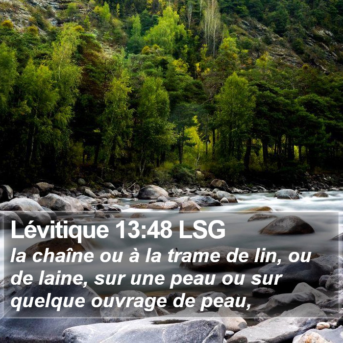 Lévitique 13:48 LSG Bible Study