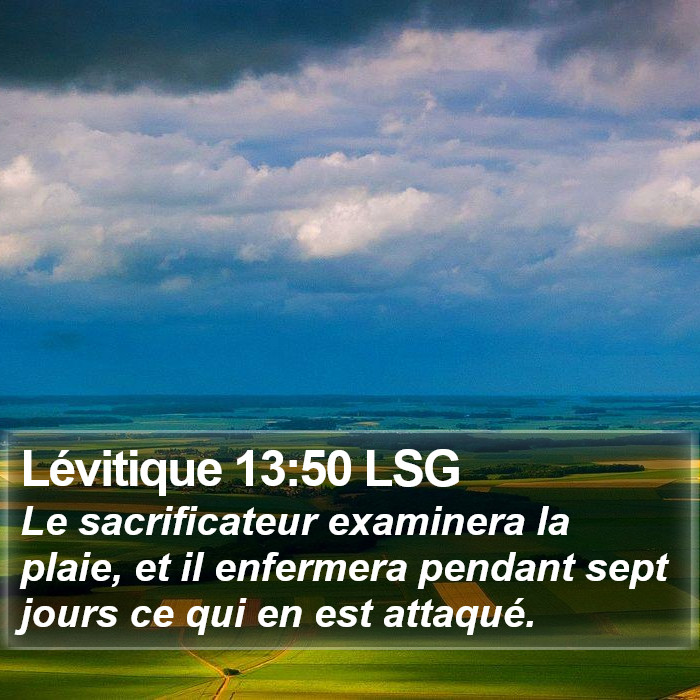 Lévitique 13:50 LSG Bible Study