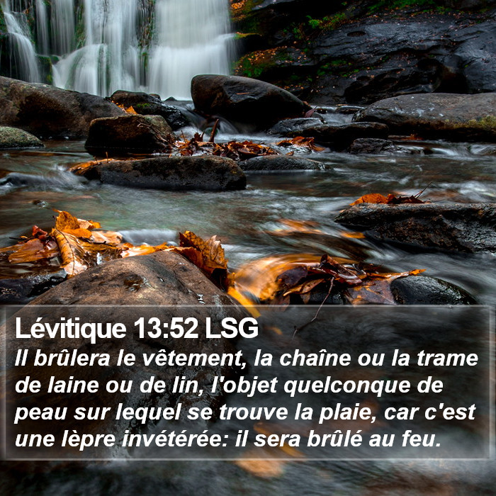 Lévitique 13:52 LSG Bible Study