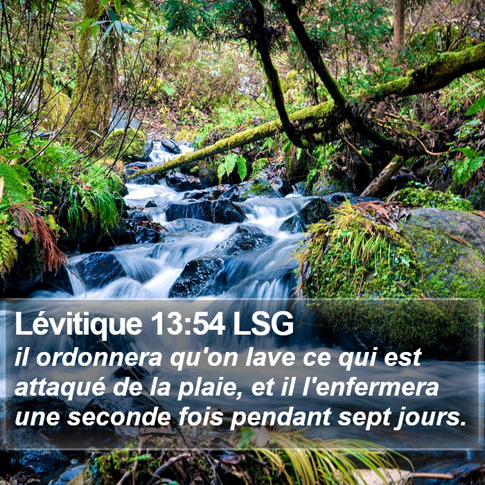 Lévitique 13:54 LSG Bible Study
