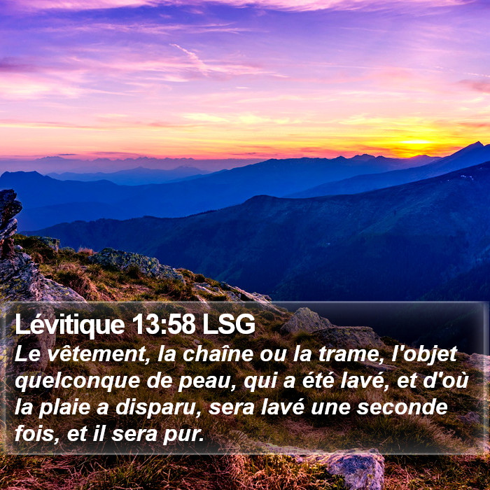 Lévitique 13:58 LSG Bible Study