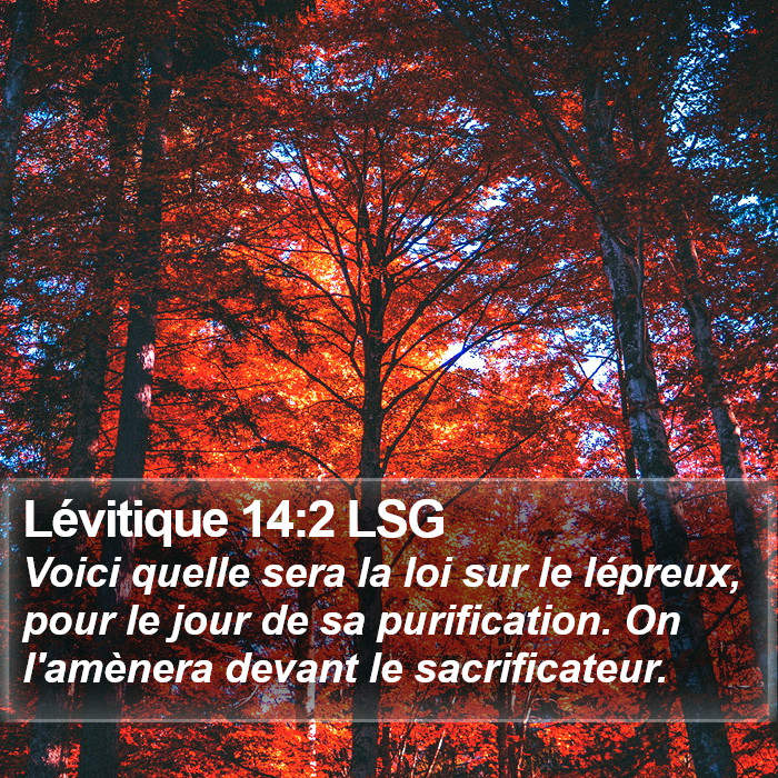 Lévitique 14:2 LSG Bible Study