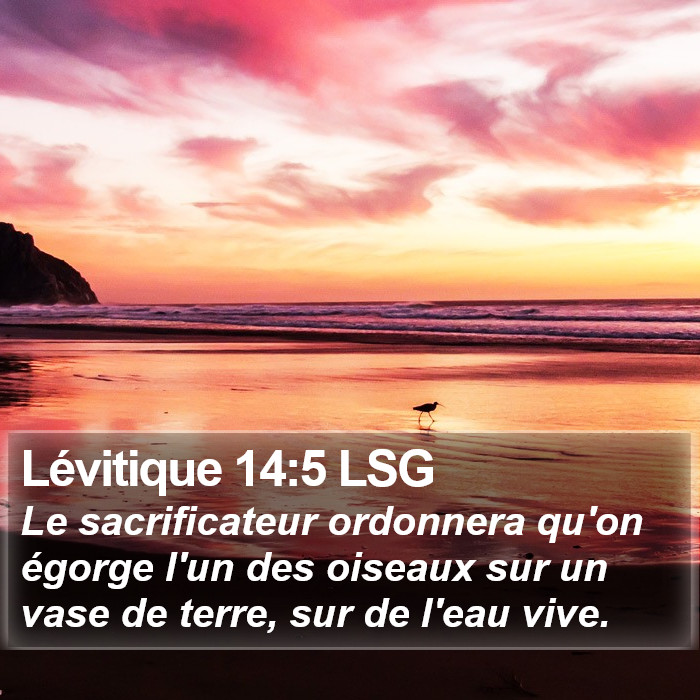 Lévitique 14:5 LSG Bible Study