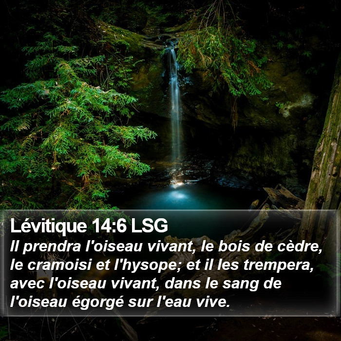 Lévitique 14:6 LSG Bible Study