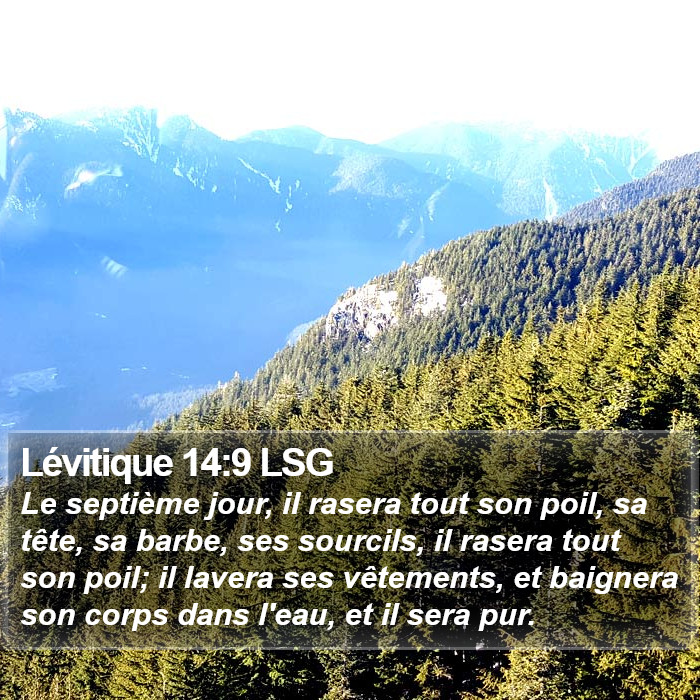 Lévitique 14:9 LSG Bible Study