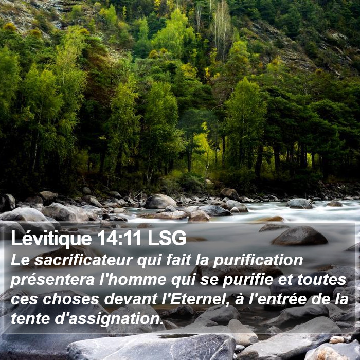 Lévitique 14:11 LSG Bible Study