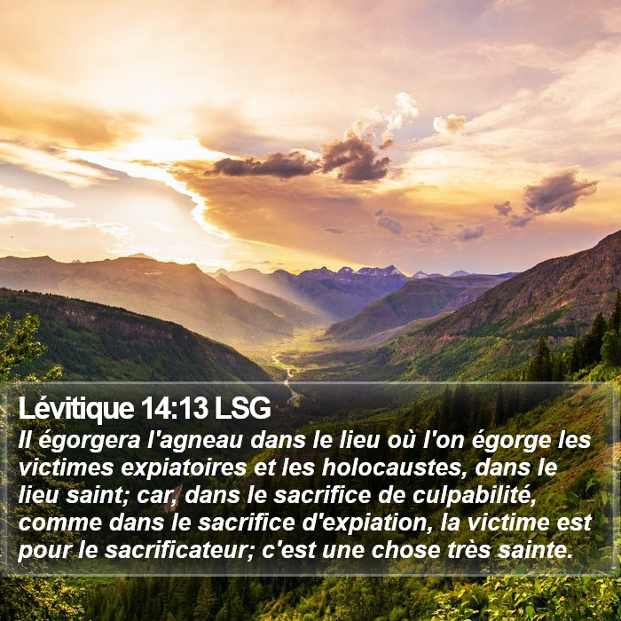 Lévitique 14:13 LSG Bible Study