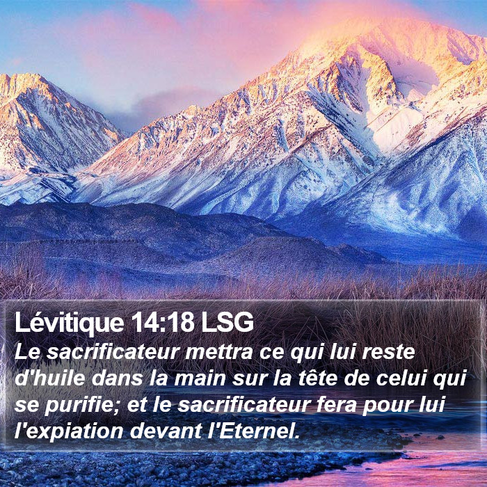 Lévitique 14:18 LSG Bible Study