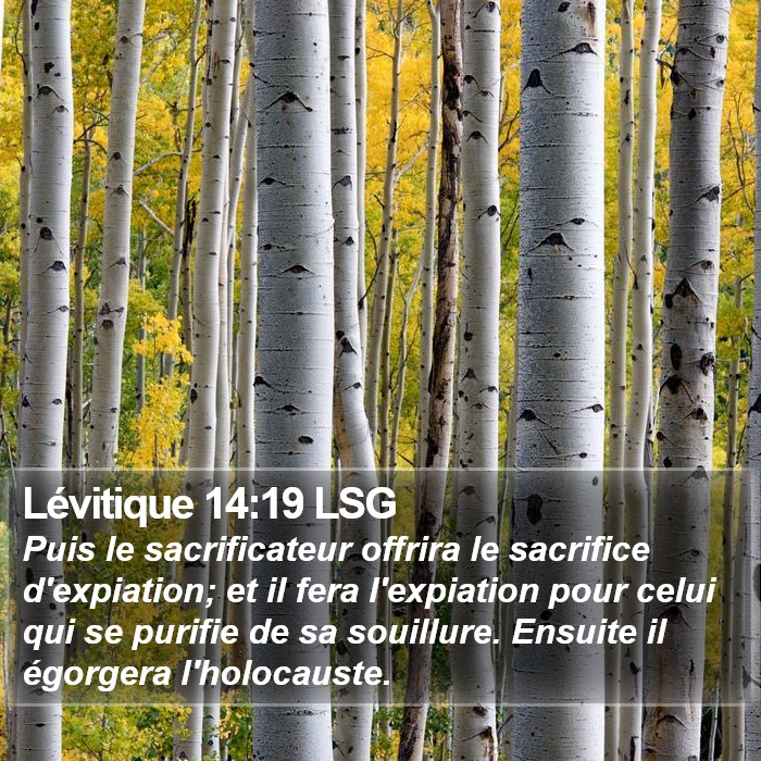 Lévitique 14:19 LSG Bible Study