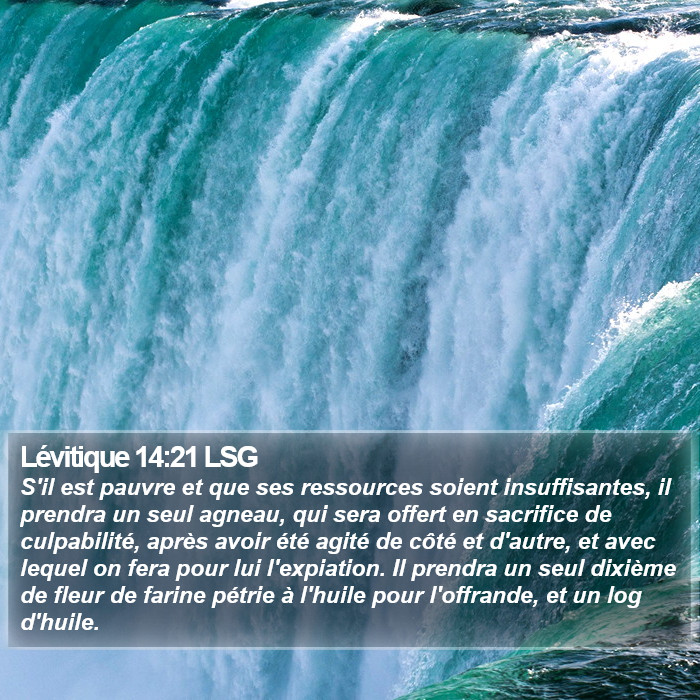 Lévitique 14:21 LSG Bible Study
