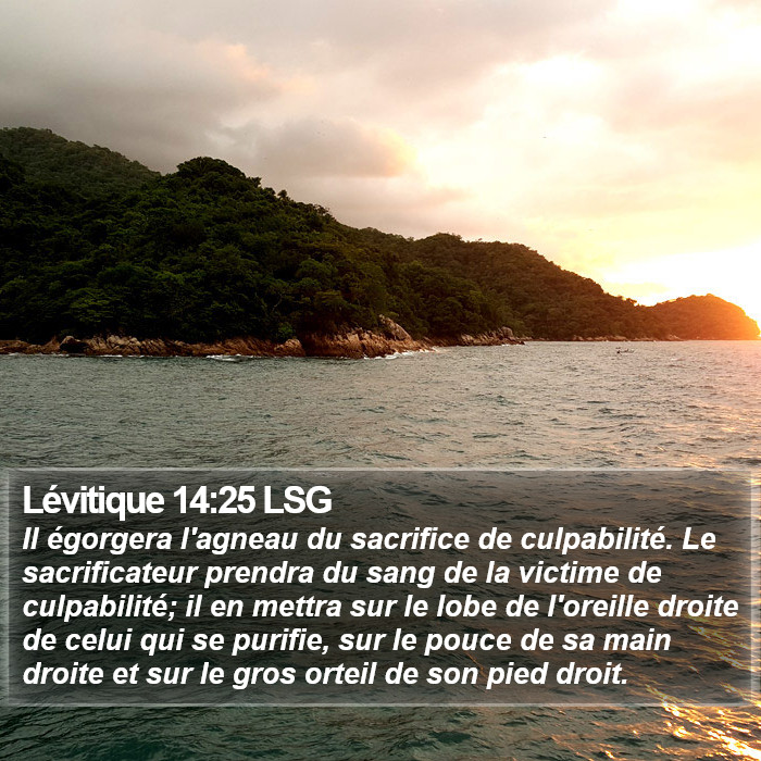 Lévitique 14:25 LSG Bible Study