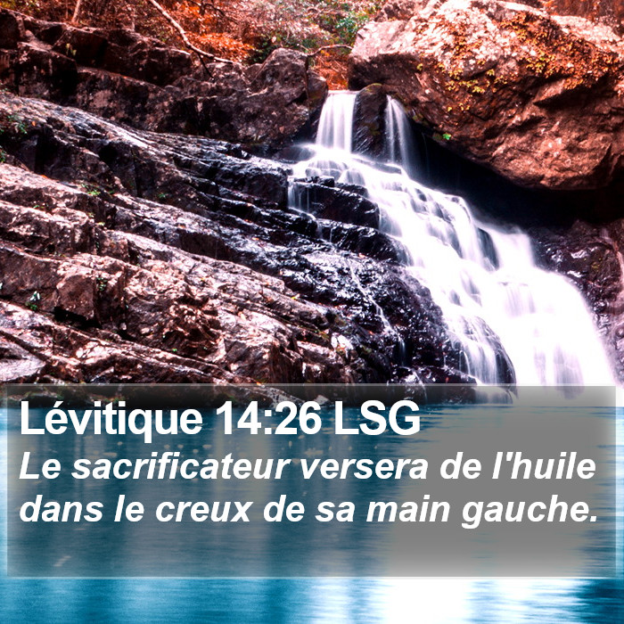 Lévitique 14:26 LSG Bible Study