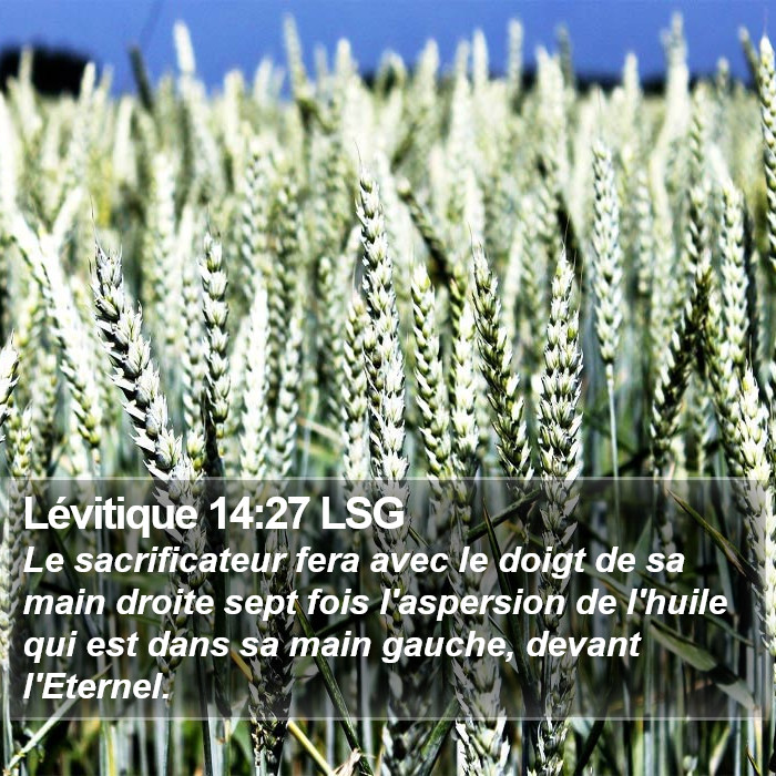 Lévitique 14:27 LSG Bible Study