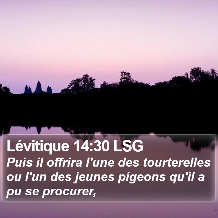 Lévitique 14:30 LSG Bible Study