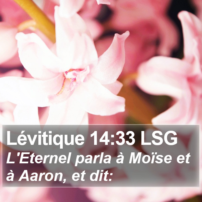 Lévitique 14:33 LSG Bible Study