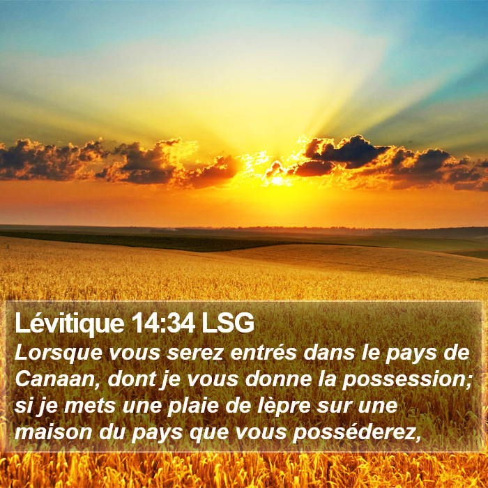 Lévitique 14:34 LSG Bible Study