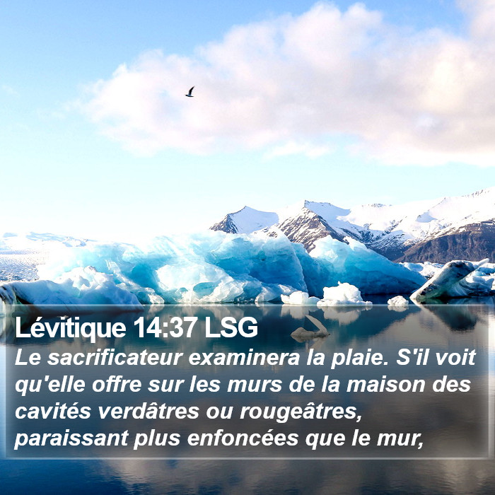 Lévitique 14:37 LSG Bible Study