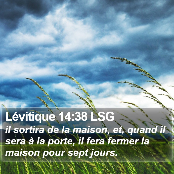 Lévitique 14:38 LSG Bible Study