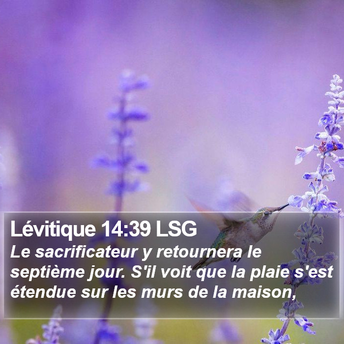 Lévitique 14:39 LSG Bible Study