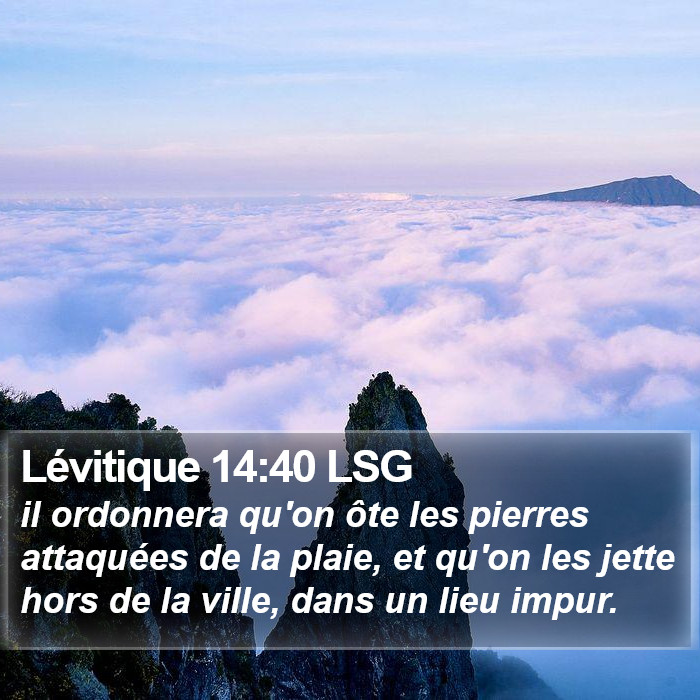 Lévitique 14:40 LSG Bible Study