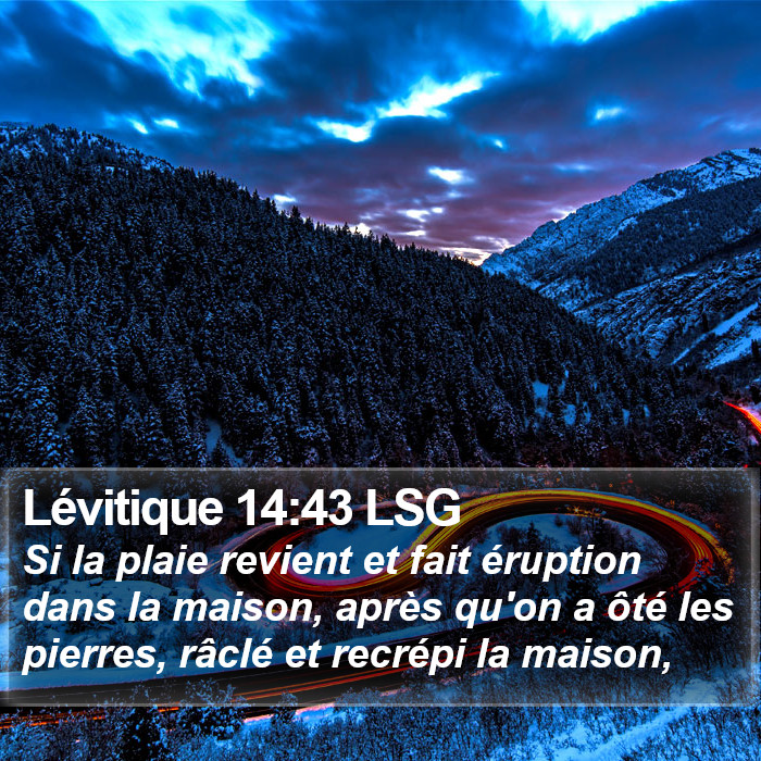 Lévitique 14:43 LSG Bible Study