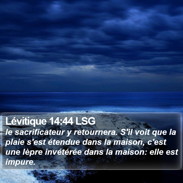 Lévitique 14:44 LSG Bible Study