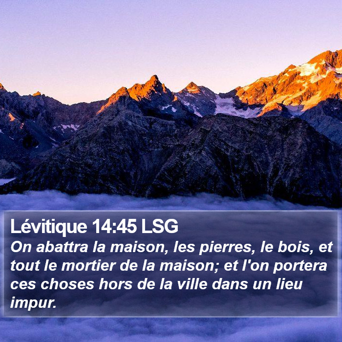 Lévitique 14:45 LSG Bible Study