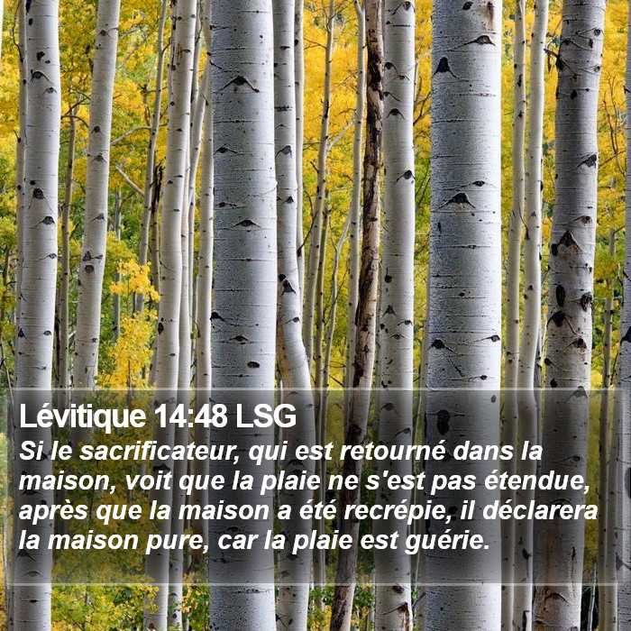 Lévitique 14:48 LSG Bible Study