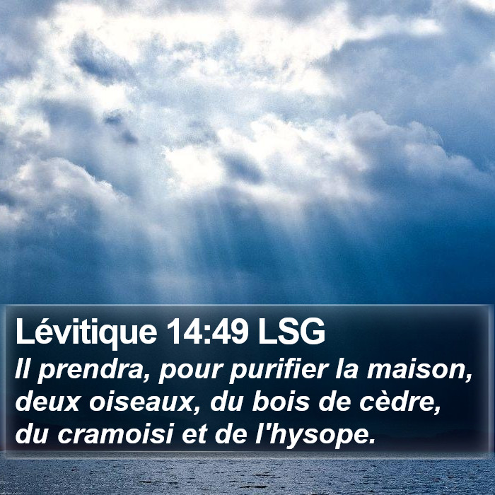 Lévitique 14:49 LSG Bible Study